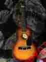 Fg-130 First Act Guitar Mark Ii Kids