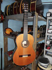 Fg-27 Francisco Domingo All Solid Wood Classical Guitar Cedar Top Rosewood Back