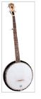 Fhb-55  Flinthill Resonator Banjo Guitar Stringed Instrument Pearl Inlaid