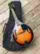 Fm-100 Fender Starter Mandolin W Bag