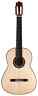 Francisco Munoz Alba Homenaje Classical Guitar Rosewood