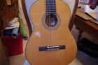 G850nt Ibanez Classical Guitar Mint