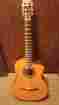 Gc1ce-nat Takamine Electric Acoustic Classical Guitar Hard Shell Case