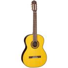 Gc5-nat Takamine New Solid Top 799493251302