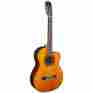 Gc5cenat Gc5ce Takamine Acoustic Electric Classical Cutaway Nylon-string Guitar Natural 799493251289