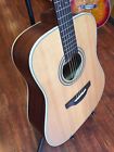 Gd20 Ns Takamine Natural Satin