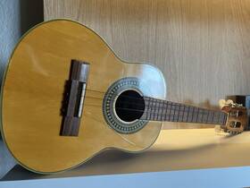 Giannini Ccs17 S Rie Estudo Classical Guitar 6 String Beige Wood With Gig Bag