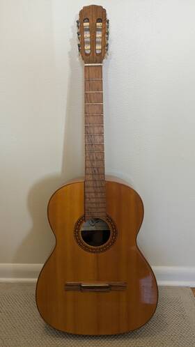 Giannini Gn-80 Gorgeous Gn80 Brazilian Vintage Classical Guitar