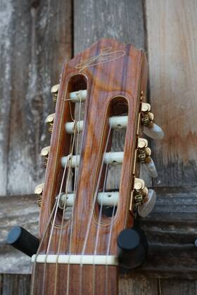Giannini Gwnc1/7x Brazilian Seven-string Classical Guitar Red Cedar And Pau-ferro 2010s