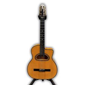Dg560 Gitane Dg650 Used Nylon String Gypsy Jazz Guitar