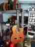 Gn-5nat Gn-5 Guild Gad Series Acoustic-electric Cutaway Classical Nylon String Guitar