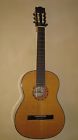 Gwnew1 Gianinni Giannini Classical Guitar W-gig