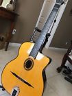 Jg-100-na Johnson Student Acoustic Guitar Natural