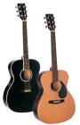 Jg-420-b Johnson Ooo Acoustic Guitar 840246006615