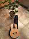 Jg-tr12 Johnson The Trailblazer 12 String Travel Guitar Case