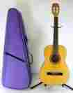 Jr15n J Reynolds Model Classical Guitar With Gig Bag