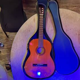 Lyle C-1310 C610 Classical Nylon 6-string Guitar 4/4 Right-hand Brown With Case
