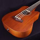 M-bass-fl Goldtone Gold Tone Fretless