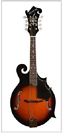 Ma-007  Flinthill Mandolin