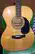 Mo100spk Mitchell Acoustic Guitar Spk-n