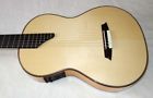 Mscc-xxx Martinez Crossover Guitar Port Fishman Pickup Case
