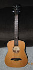 Msd1 Alvarez Masterworks Series Acoustic