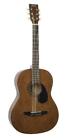 Jg-100-wl N-a Johnson Student Acoustic Guitar Walnut 840246026934