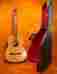 Wn70 N A Giannini Vintage Nylon String Classical Guitar 1970