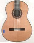 New World Hill Player Elevated Classical Cedar Guitar Case