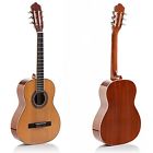 Hg-36gls Not Holamusic Acoustic Guitars Hola 643345921861