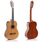 Hg-39gls Not Holamusic Hola Acoustic Guitars 643345921670