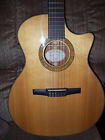 Ns-34 Taylor Auditorium Classical Guitar Case Great Condition