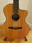 Ns24 Ceg Taylor Gloss Top Finish Nylon String Electric Guitar