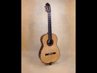 Paul Fischer Custom Classical Guitar Taut Model