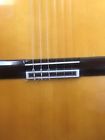 Pc-50 Alvarez Classical Guitar All Solid Wood Rosewood Low Action Sounds