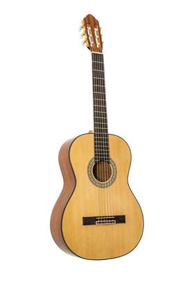 Cns1 Peavey Classical Nylon String Guitar