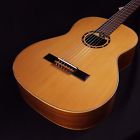 R131sn Ortega Nylon String Solid