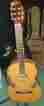Rc16 Alvarez Classical Guitar With Bag