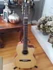 Rc26hce Alvarez Nylon String Cutaway
