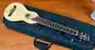 Ro-10 Washburn Rover Model Travel Guitar Mint With Case R0-10 L318