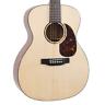 Ro-g6 Recording King Series Solid Top Ooo Acoustic Guitar 840246040367