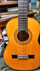 Rq28 Takamine Jasmine Classical Scale Cedar Top Rosewood