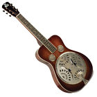 Rr-60-vs Recording King Professional Resonator 840246029560