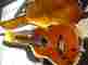 Sakurai Kohono 1975 Classical Guitar M M5