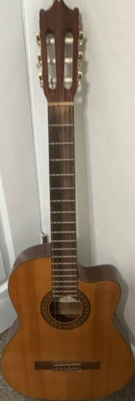 Salvador Ibanez Aec81-02 Classical Guitar 6-string Standard Body Brown