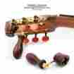 Tenor-tswccocobolo-b-g Tenor Cocobolo Handcrafted Wooden Guitar String Winder By Designed For And