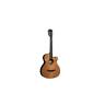 Tn100ace Lag Stage Nylon Auditorium Cutaway Mahogany
