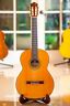 Tp-20 Pavan Mint Electric Classical Guitar Solid Cedar Rosewood Bonus Case