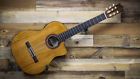 U103110 Cordoba Classical Guitar Fishman Isys