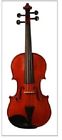 V-31 Capri Violin